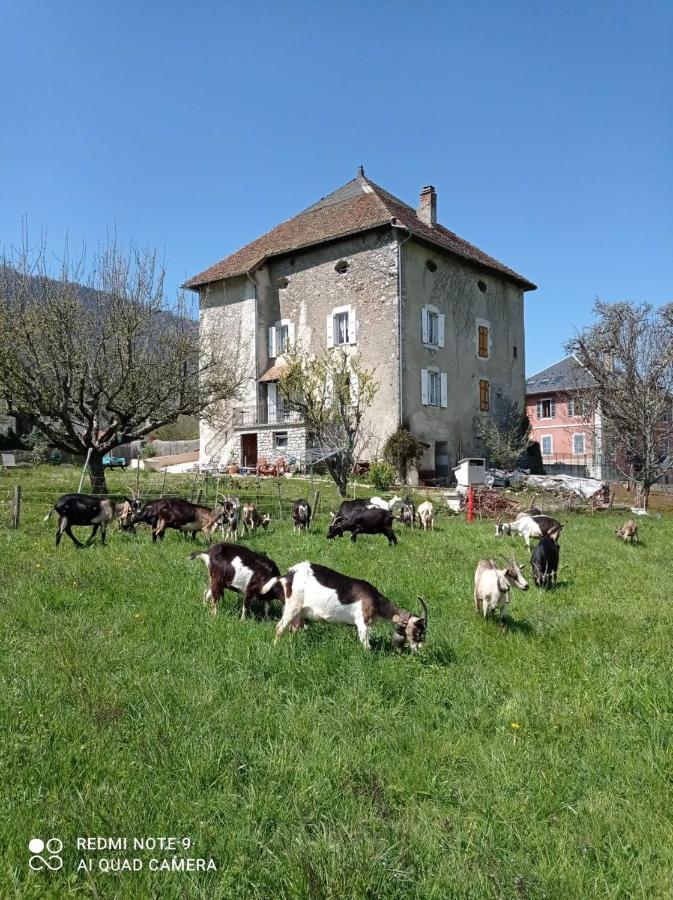Holiday home La Tour De